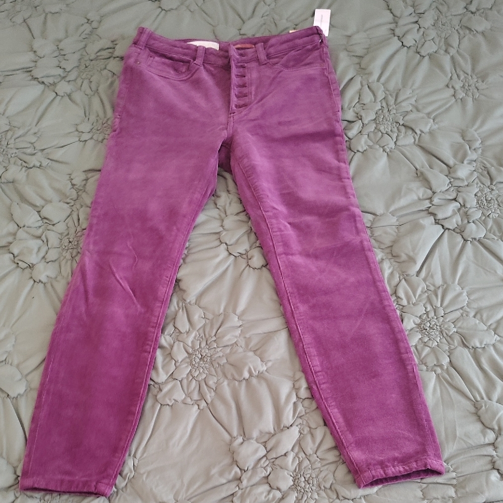 Pilcro Women's Rich Purple Skinny Jeans - Picture 7 of 8